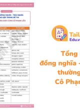 Tổng hợp đồng nghĩa - trái nghĩa thường gặp Cô Phạm Liễu